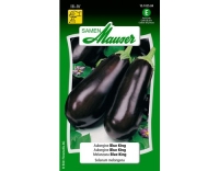 Eierfrucht Blue King