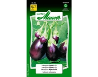 Aubergine Ophelia F1