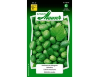 Mexikanische Minigurke