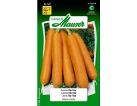 Karotte TipTop