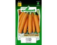 Saatband Karotte Rotin