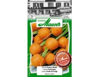 Karotte Pariser Markt