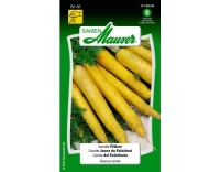 Karotte Pf&auml;lzer