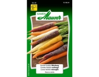 Karotte Harlekin Mischung