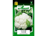 Blumenkohl Idol