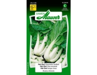 Pak Choi Chinesischer Senfkohl