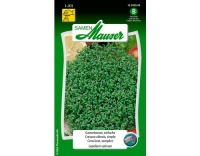 Gartenkresse, einfache