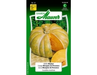 Kürbis Muskat