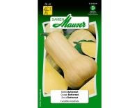 Kürbis Butternut