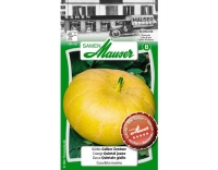 Kürbis Gelber Zentner