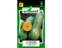 Kürbis Lunga di Napoli