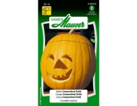 Kürbis Connecticut Field