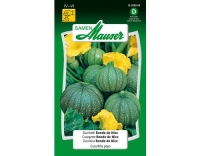 Zucchetti Ronde de Nice