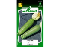 Zucchini Lorea