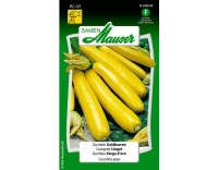 Zucchetti Goldbarren