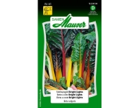 Stielmangold Bright Lights