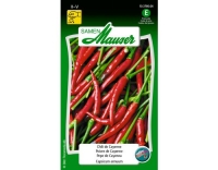 Chili de Cayenne rot