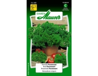 Petersilie Paramount