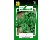 Petersilie Napoli Riese