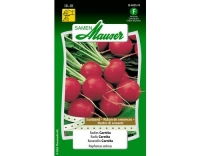 Saatband Radies Carnita