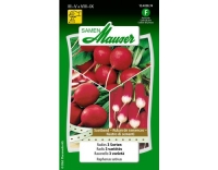 Saatband Radies 3 Sorten