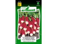 Radies Flamboyant 2 Bicolor