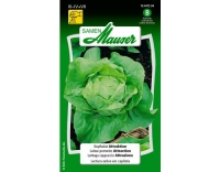 Kopfsalat Attraktion