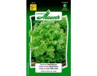 Pfl&uuml;cksalat Strubelpeter