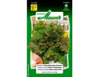 Pfl&uuml;cksalat Amerikanischer Brauner