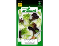 Salat Eazy Leaf Mischung