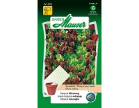 Saatplatte Babyleaf Mischung