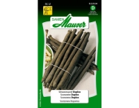 Schwarzwurzel Duplex