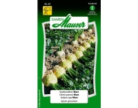 Knollensellerie Mars