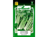 Stangensellerie Verdon