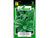 Spinat Matador Auslese