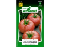 Fleischtomate Berner Rosen