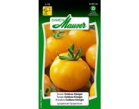 Tomate Goldene Königin