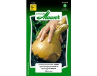 RiesenGemüsezwiebel Kelsae