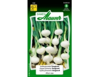 Fr&uuml;hlingszwiebel Vaugirard