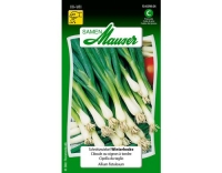 Schnittzwiebel Winterhecke