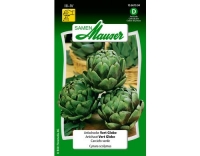 Artischocke Vert Globe