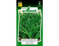 HirschhornSalat (Kapuzinerbart)