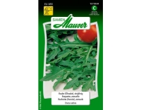 Rauke (Ölrauke)), einjährig