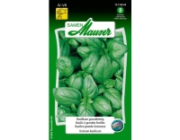 Basilikum grossbl&auml;ttrig