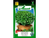 Basilikum feinblättrig