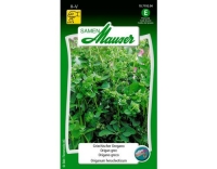 Griechischer Oregano