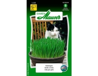 Katzengras 25g