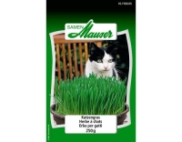 Katzengras 250g
