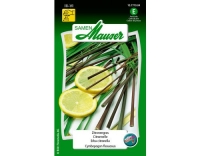 Zitronengras