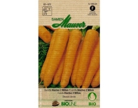 Karotte Nantes 2 Milan